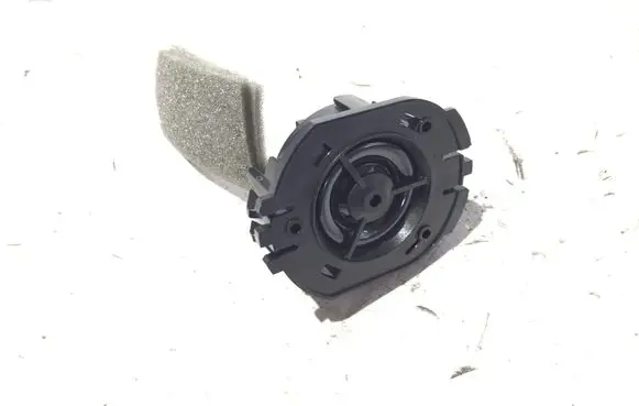 Front door high frequency speaker