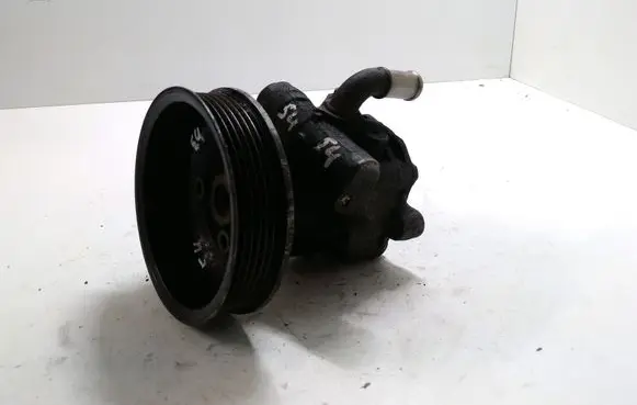Volkswagen Golf IV Power steering pump 1J0422154B 030145269A