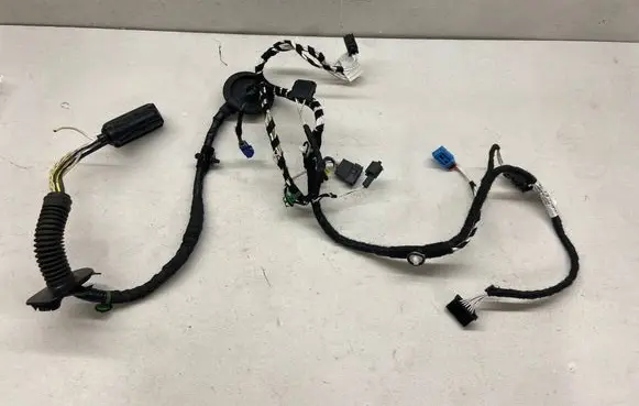 Volkswagen Tiguan Front door wiring loom 5NB971161BC