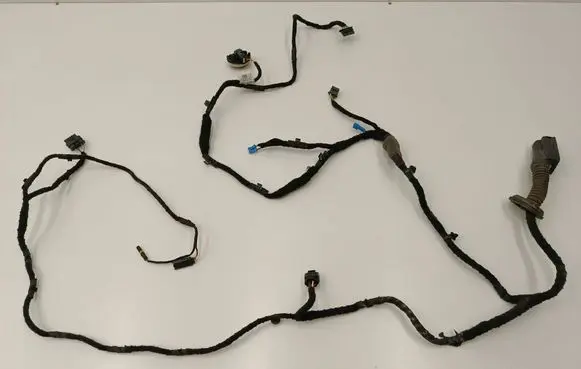 BMW 4 G22 G23 G24 G26 Front door wiring loom 4918258 5A494C4 11107810