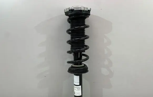 BMW X4 G02 Rear shock absorber/damper 6890945