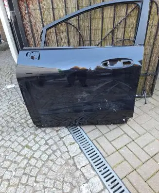 Ford Puma Front door L1TBS20221AD
