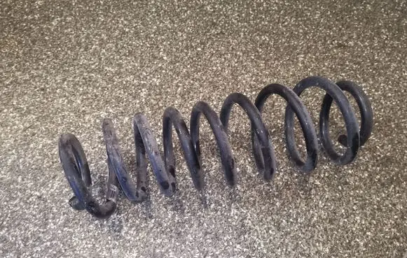 Ford Mustang V Rear coil spring