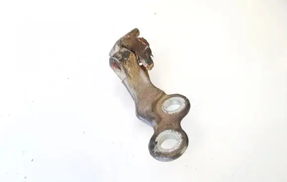 Ford Focus Rear door lower hinge