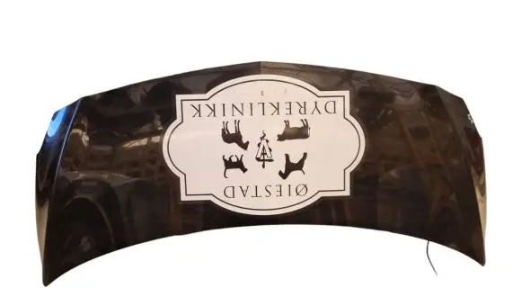 Mercedes-Benz Citan W415 Engine bonnet/hood
