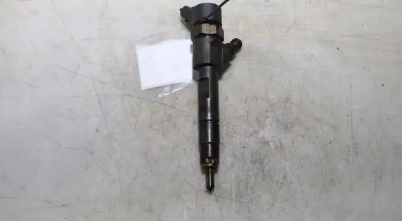Renault Scenic II - Grand scenic II Fuel injector 0445110110B