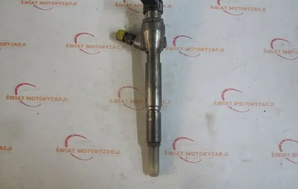 Nissan Bluebird Sylphy II Fuel injector H8200294788