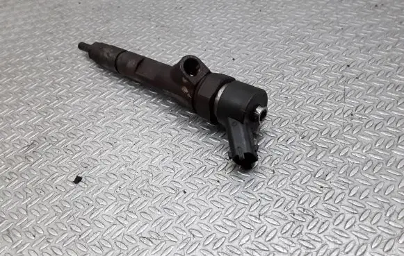 Renault Megane II Fuel injector 0445110110B
