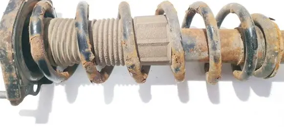 Toyota Corolla Verso AR10 Rear coil spring