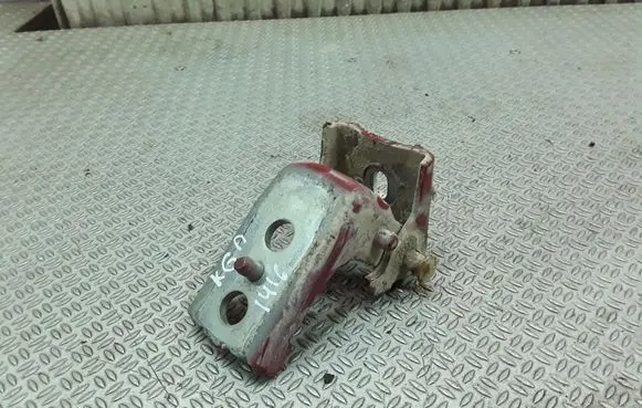 Citroen C3 Rear door lower hinge