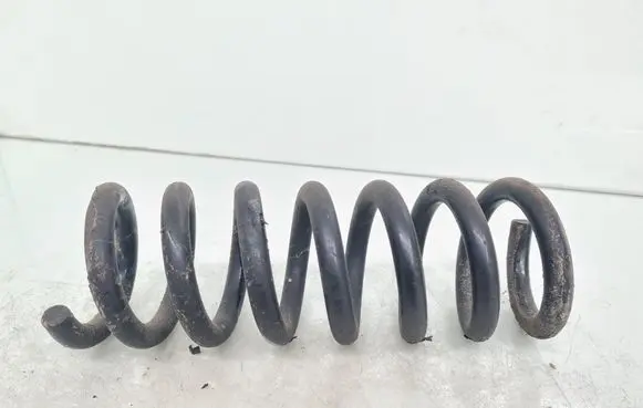 Rear coil spring