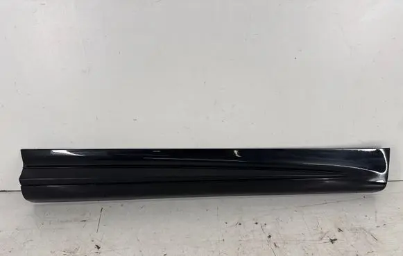 Dodge Hornet Front door trim (molding) 156155416