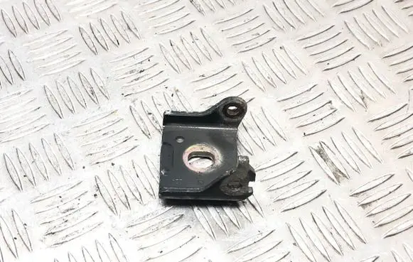 Front door lower hinge