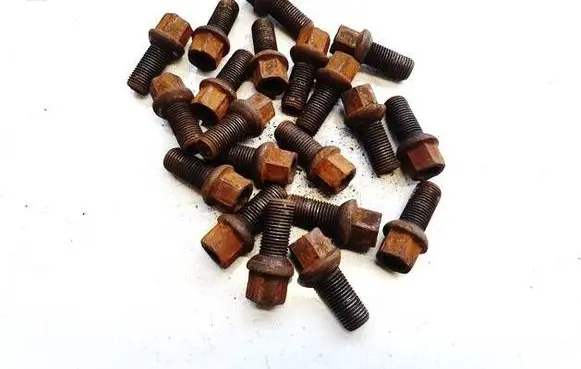 Skoda Octavia Mk2 (1Z) Nuts/bolts 