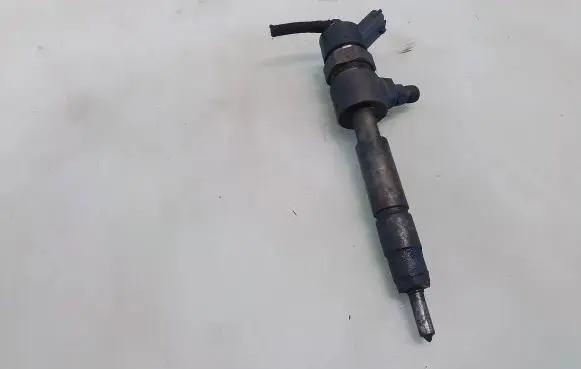 Fiat Bravo Fuel injector 0445110002