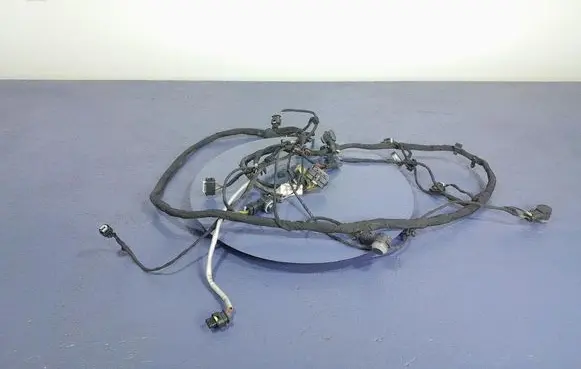 Mercedes-Benz AMG GT R190 C190 Other wiring loom A2905406402