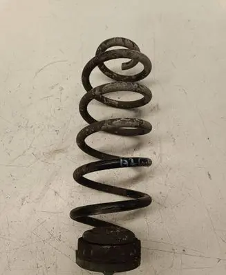 Rear coil spring