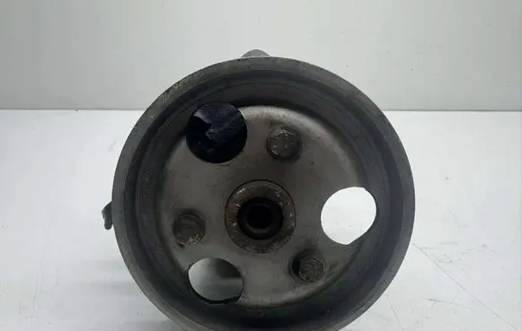 Renault Scenic I Power steering pump 26077782 7700431283