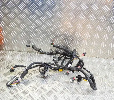 Other wiring loom