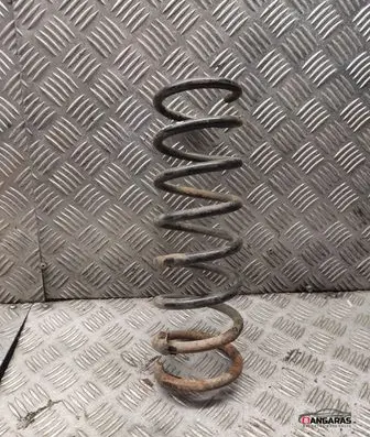 Rear coil spring