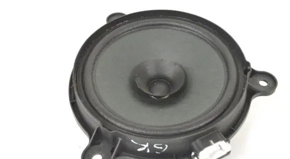 Rear door speaker