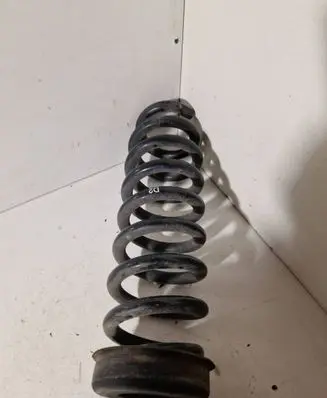 Rear coil spring