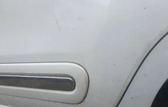 Fiat 500L Rear door