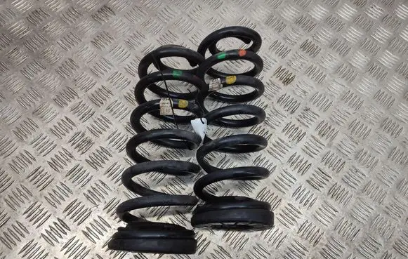 Rear coil spring