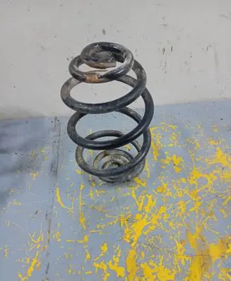 Volkswagen PASSAT B5.5 Rear coil spring