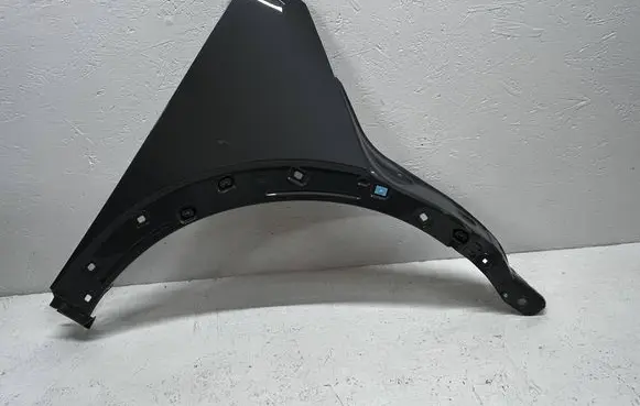 Hyundai Ioniq 5 Fender IONIQ5-BLOTNIK-PR