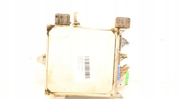 Engine control unit/module ECU