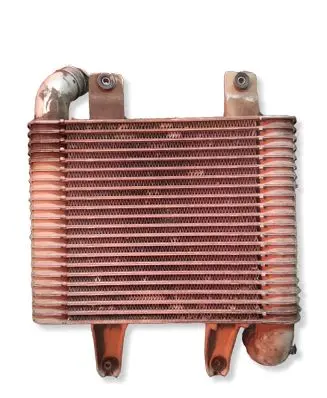 Hyundai Terracan Intercooler radiator 281904X40X