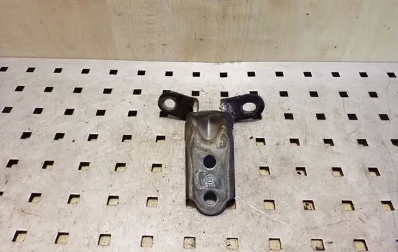 KIA Sportage Rear door lower hinge