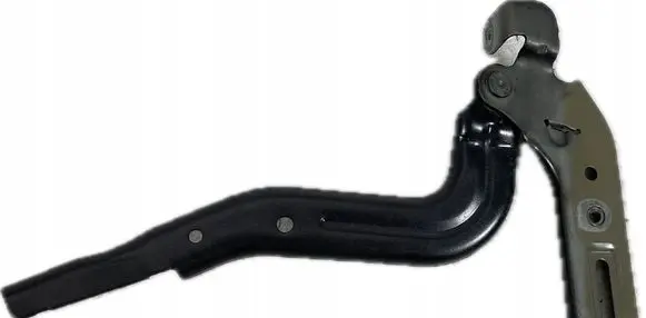 Chrysler Pacifica Engine bonnet/hood hinges VL05