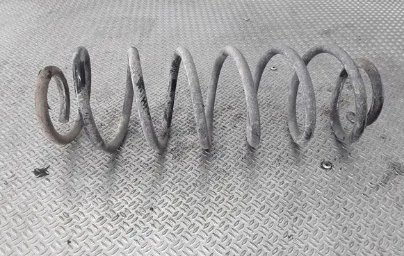 Rear coil spring