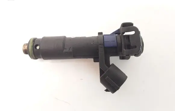 Citroen C5 Fuel injector 4250B01573