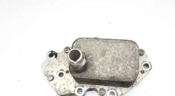Opel Insignia A Engine oil radiator 55599943