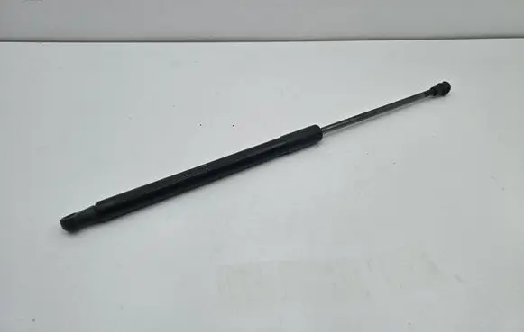 Tailgate/trunk strut/damper