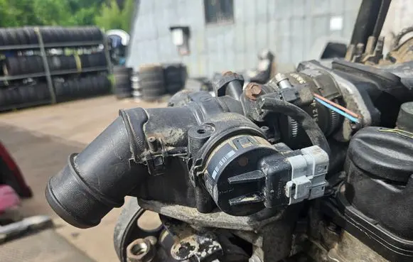 Citroen Berlingo Throttle valve 9660030580
