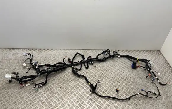 Renault Austral Other wiring loom 240132213R