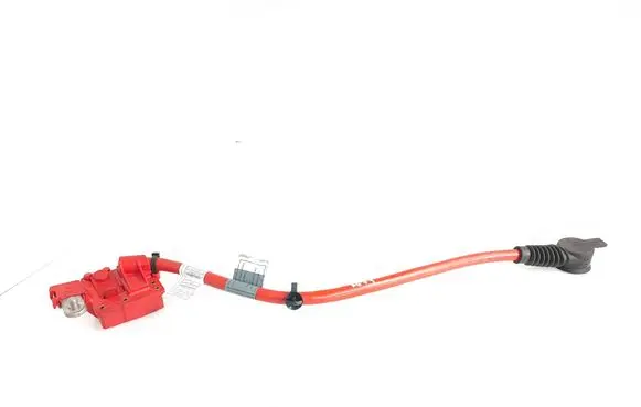 BMW 5 F10 F11 Positive cable (battery) 9217036 EEZ17Z KW3713