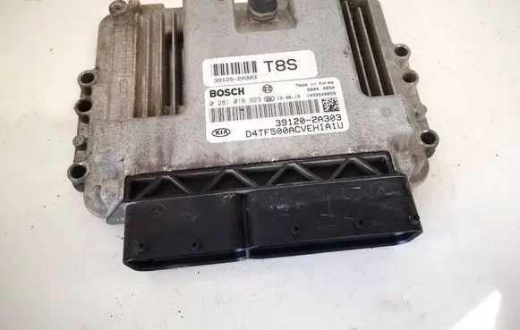 KIA Optima Engine control unit/module 391202a303