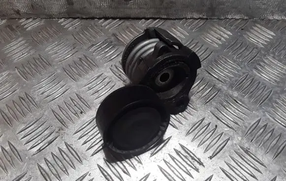 Chevrolet Cruze Alternator belt tensioner 556587 96440419