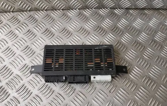 BMW 5 E39 Light module LCM 61356919453 6919453