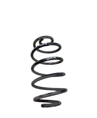 Rear coil spring