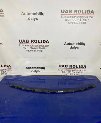 Front bumper lip