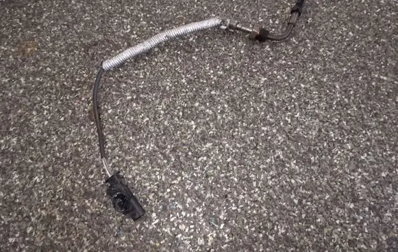 Exhaust gas temperature sensor