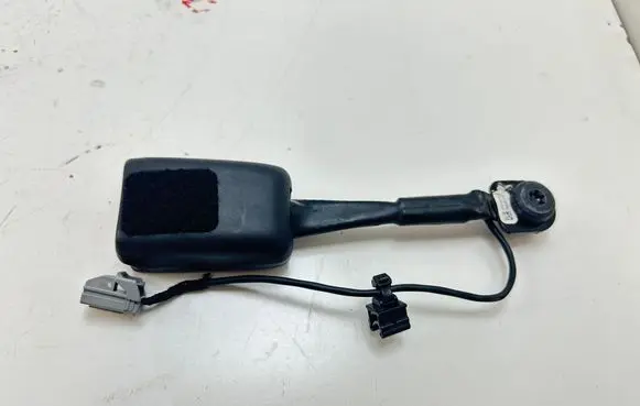 Tesla Model 3 Front seatbelt buckle 109032301D