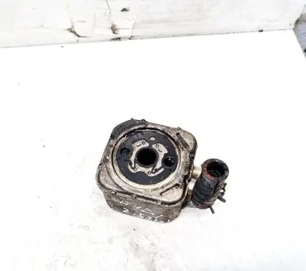 Audi A6 S6 C5 4B Engine oil radiator 0930503