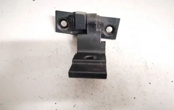 Rear door lower hinge
